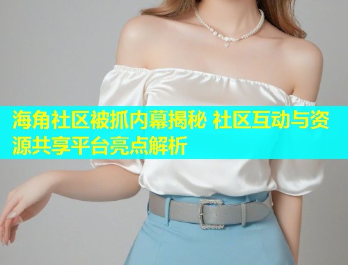 海角社区被抓内幕揭秘 社区互动与资源共享平台亮点解析  第1张