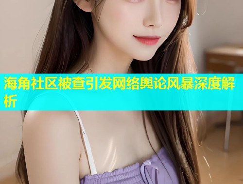 海角社区被查引发网络舆论风暴深度解析  第1张