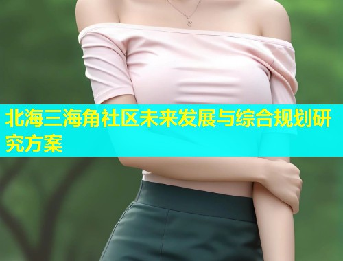 北海三海角社区未来发展与综合规划研究方案  第1张