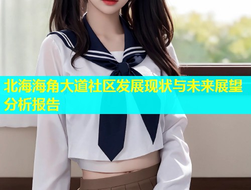 北海海角大道社区发展现状与未来展望分析报告  第2张