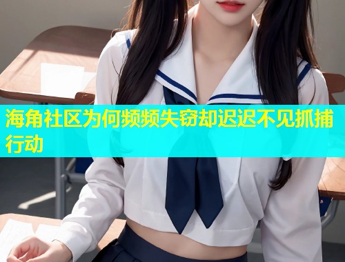 海角社区为何频频失窃却迟迟不见抓捕行动